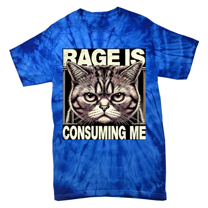 Graphic Rage Is Consuming Me Funny Cat Meme Tie-Dye T-Shirt