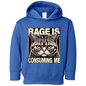 Graphic Rage Is Consuming Me Funny Cat Meme Toddler Hoodie