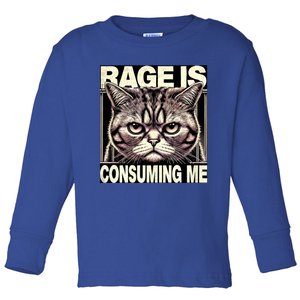 Graphic Rage Is Consuming Me Funny Cat Meme Toddler Long Sleeve Shirt