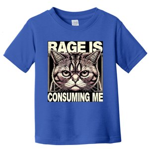 Graphic Rage Is Consuming Me Funny Cat Meme Toddler T-Shirt