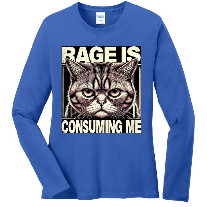 Graphic Rage Is Consuming Me Funny Cat Meme Ladies Long Sleeve Shirt