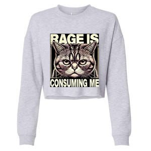 Graphic Rage Is Consuming Me Funny Cat Meme Cropped Pullover Crew