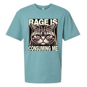 Graphic Rage Is Consuming Me Funny Cat Meme Sueded Cloud Jersey T-Shirt