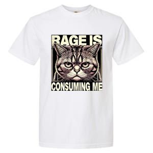 Graphic Rage Is Consuming Me Funny Cat Meme Garment-Dyed Heavyweight T-Shirt