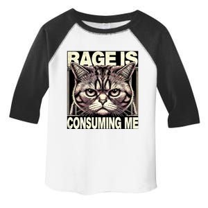 Graphic Rage Is Consuming Me Funny Cat Meme Toddler Fine Jersey T-Shirt