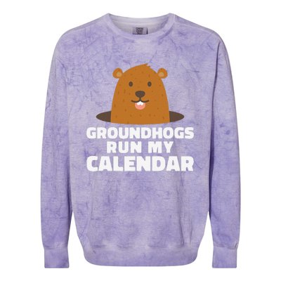 Groundhogs Run My Calendar February Weather Winter Spring Colorblast Crewneck Sweatshirt