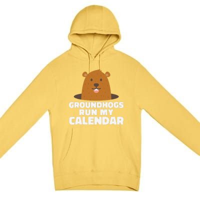 Groundhogs Run My Calendar February Weather Winter Spring Premium Pullover Hoodie