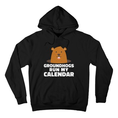 Groundhogs Run My Calendar February Weather Winter Spring Hoodie