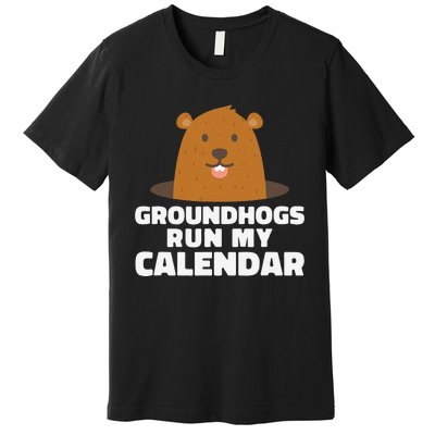 Groundhogs Run My Calendar February Weather Winter Spring Premium T-Shirt