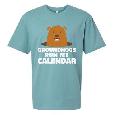 Groundhogs Run My Calendar February Weather Winter Spring Sueded Cloud Jersey T-Shirt