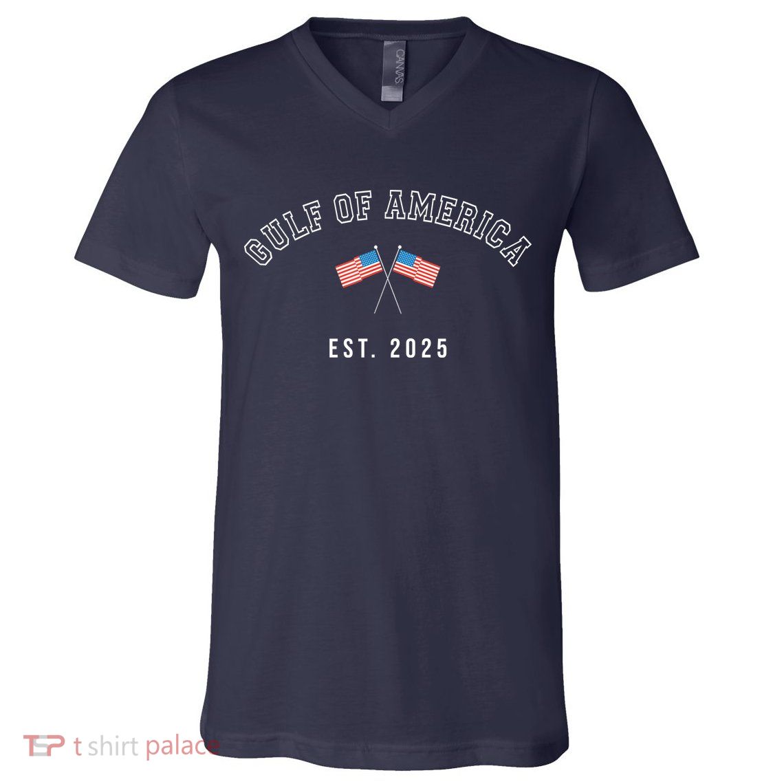 Gulf Retro Of America Est 2025 Usa American Flag V-Neck T-Shirt
