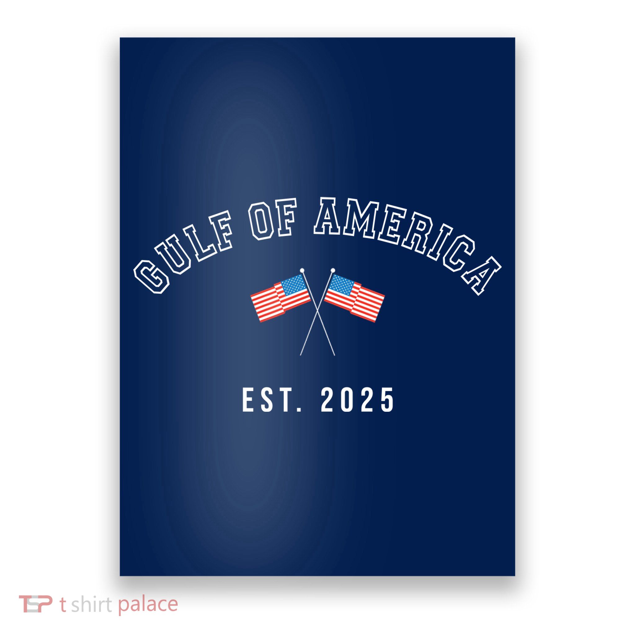 Gulf Retro Of America Est 2025 Usa American Flag Poster