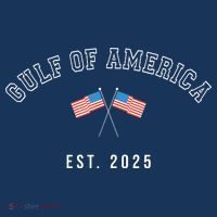 Gulf Retro Of America Est 2025 Usa American Flag Ladies Long Sleeve Shirt