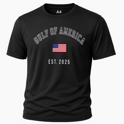 Gulf Retro Of America Est 2025 Usa American Flag Performance Shirt