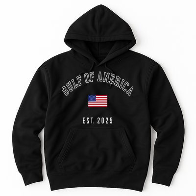 Gulf Retro Of America Est 2025 Usa American Flag Hoodie