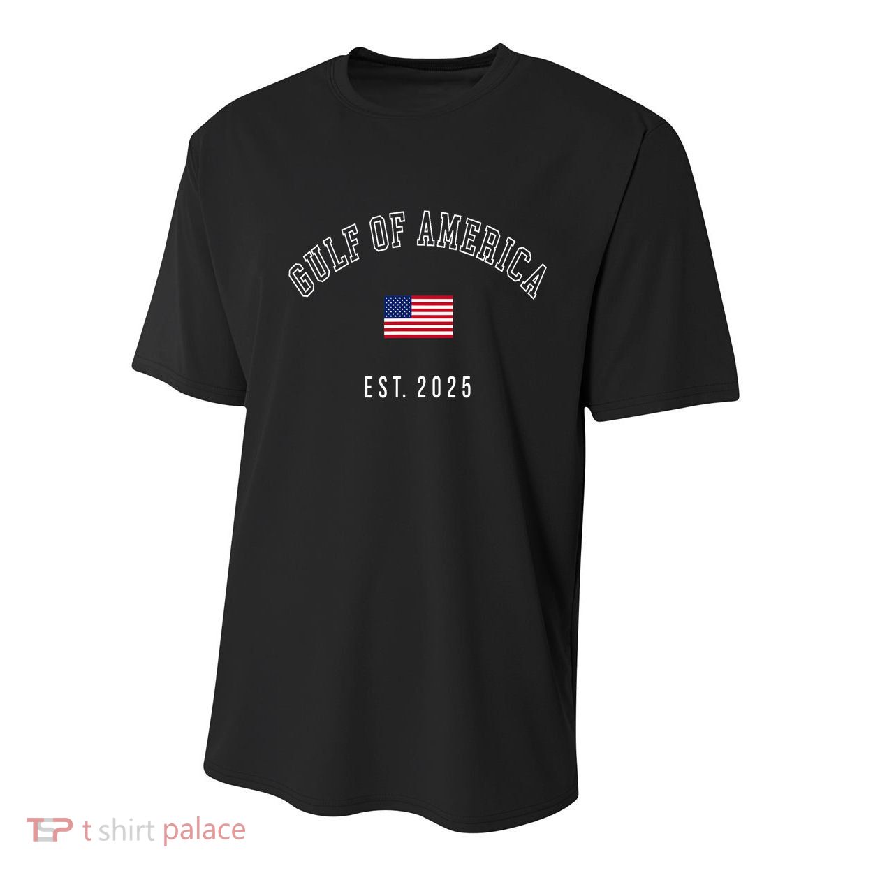 Gulf Retro Of America Est 2025 Usa American Flag Youth Performance Sprint T-Shirt