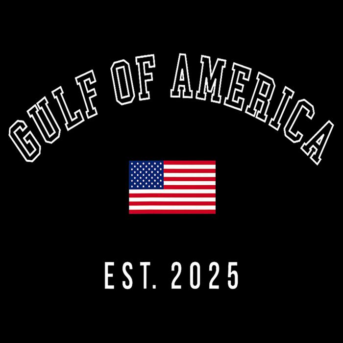 Gulf Retro Of America Est 2025 Usa American Flag Poster