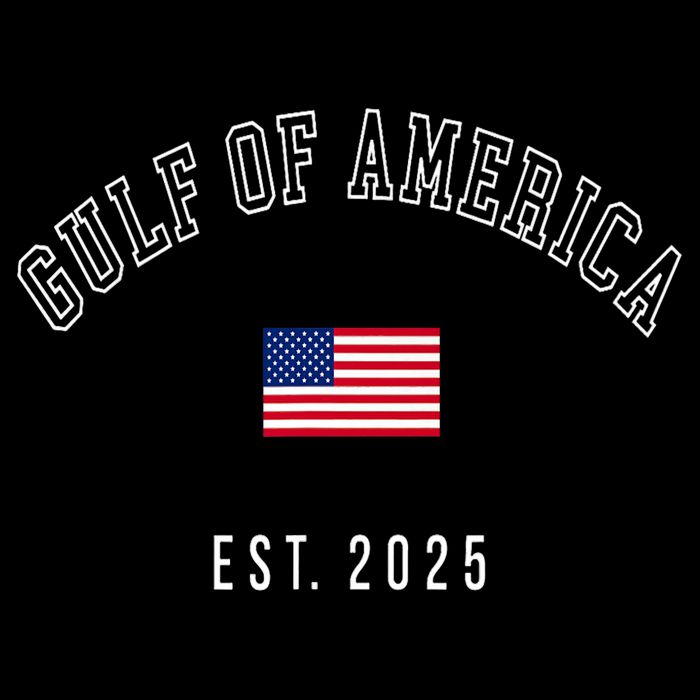 Gulf Retro Of America Est 2025 Usa American Flag City Backpack