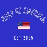 Gulf Retro Of America Est 2025 Usa American Flag Toddler T-Shirt