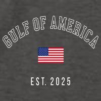 Gulf Retro Of America Est 2025 Usa American Flag Vector Backpack