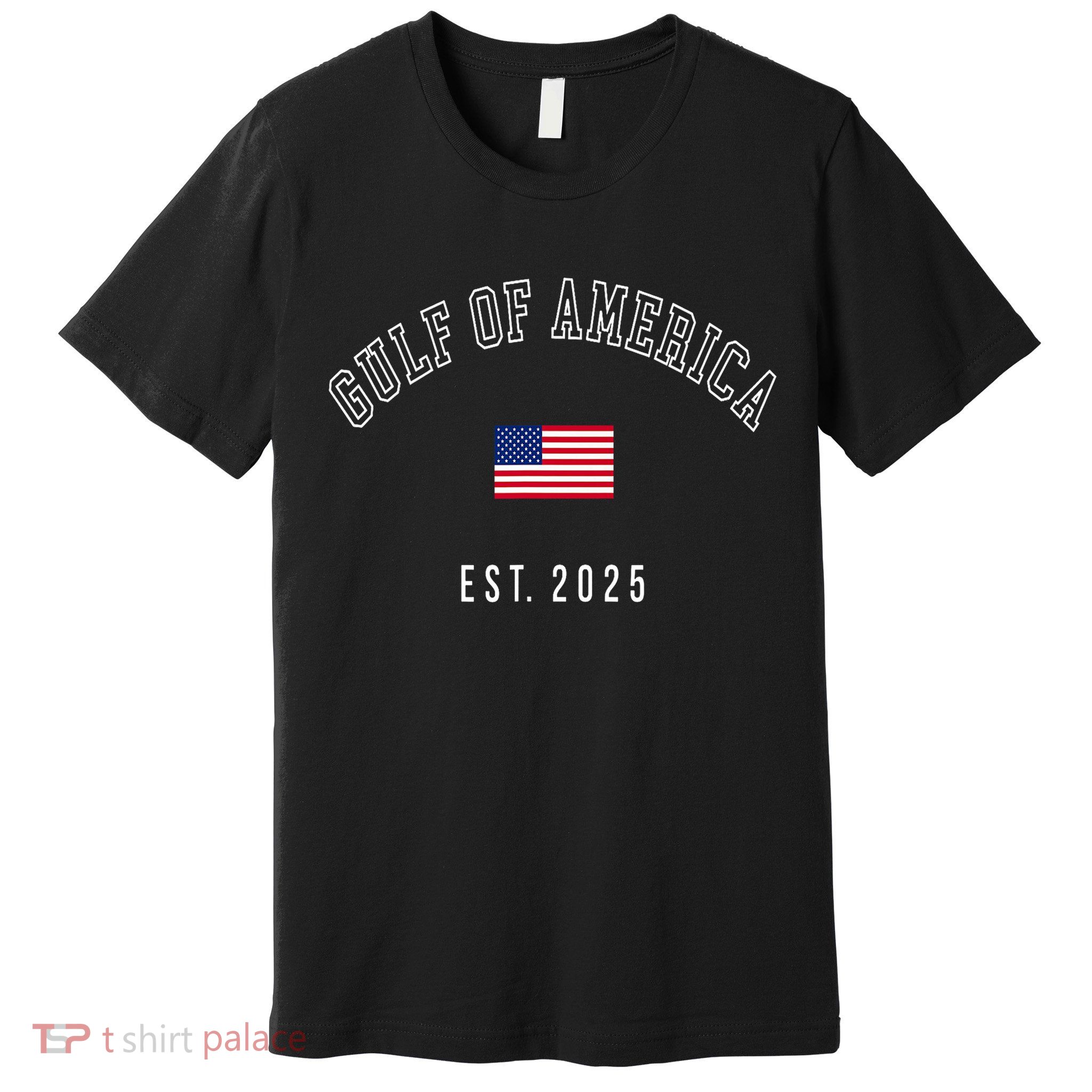 Gulf Retro Of America Est 2025 USA American Flag  Premium T-Shirt