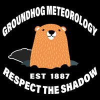 Groundhog Meteorology Respect The Shadow Premium T-Shirt