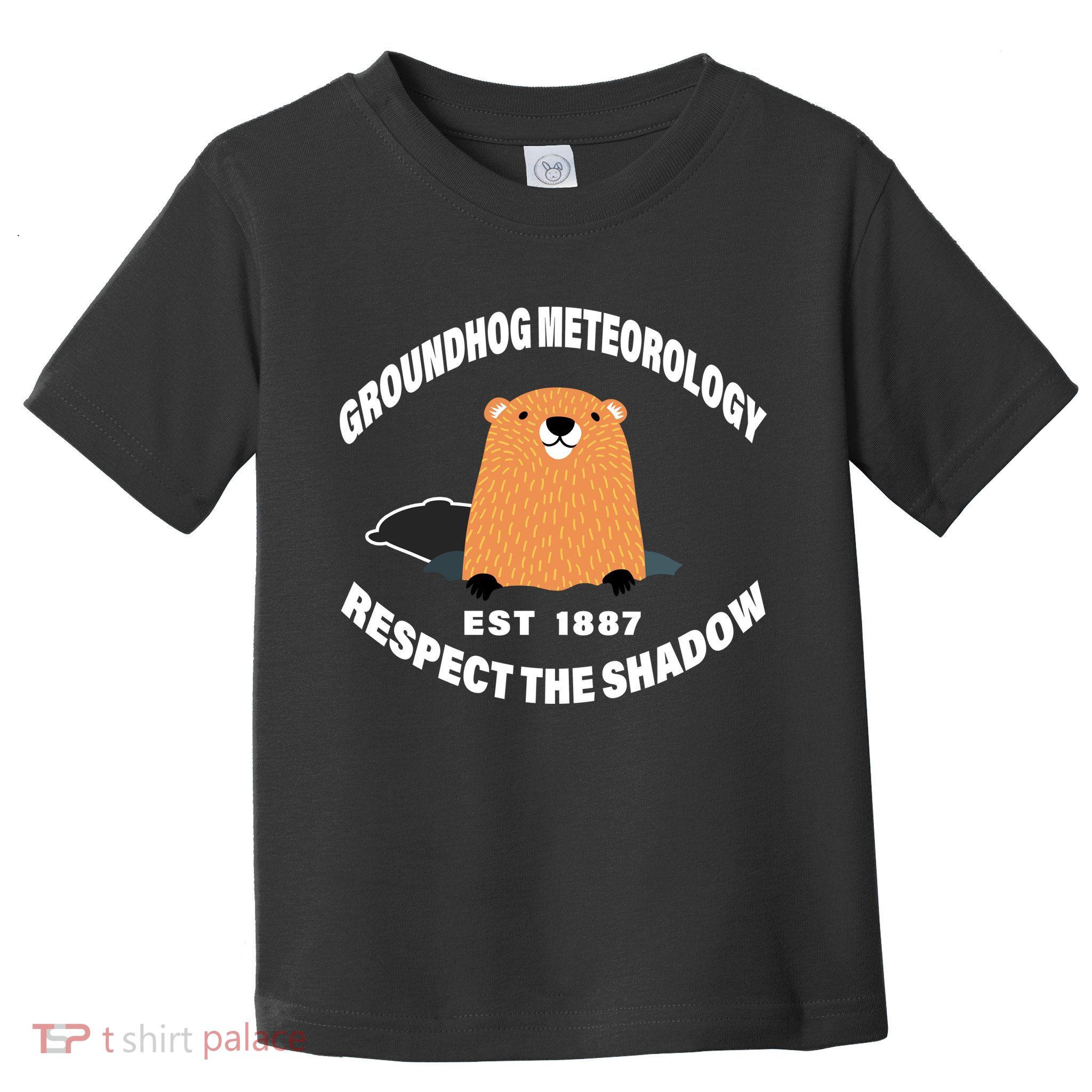 Groundhog Meteorology Respect The Shadow Toddler T-Shirt