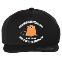 Groundhog Meteorology Respect The Shadow Wool Snapback Cap
