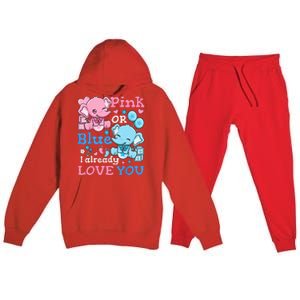 Gender Reveal Pink Or Blue Premium Hooded Sweatsuit Set