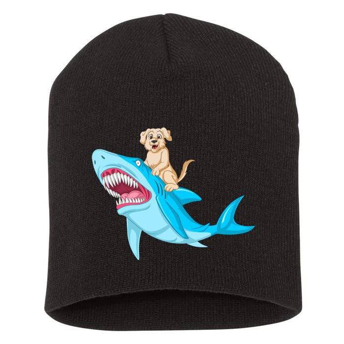 Golden Retriver Riding Shark Short Acrylic Beanie