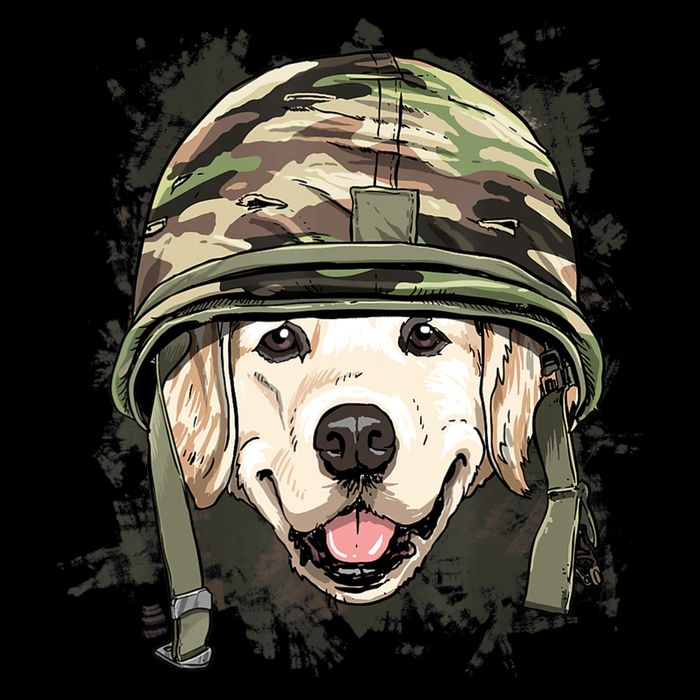 Golden Retriever Soldier Veteran Funny Dog Army 16 in Basic Backpack