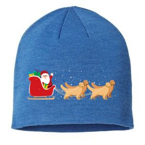 Golden Retriever Santa Christmas Sleigh Funny Labrador Xmas Gift Sustainable Beanie