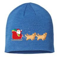 Golden Retriever Santa Christmas Sleigh Funny Labrador Xmas Gift Sustainable Beanie