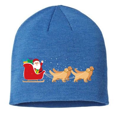 Golden Retriever Santa Christmas Sleigh Funny Labrador Xmas Gift Sustainable Beanie