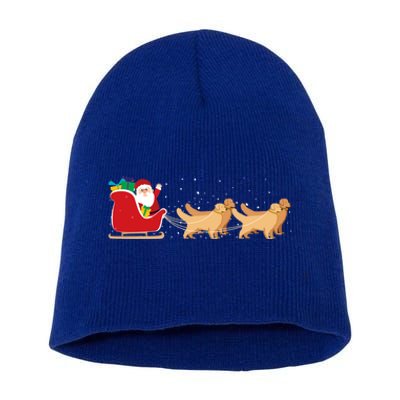 Golden Retriever Santa Christmas Sleigh Funny Labrador Xmas Gift Short Acrylic Beanie