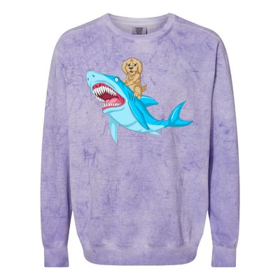 Goldendoodle Riding Shark Colorblast Crewneck Sweatshirt