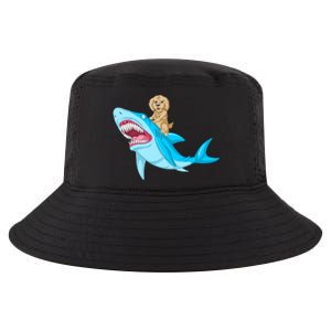 Goldendoodle Riding Shark Cool Comfort Performance Bucket Hat