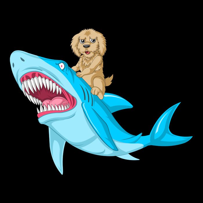 Goldendoodle Riding Shark 16 in Basic Backpack