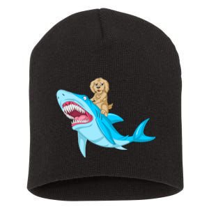 Goldendoodle Riding Shark Short Acrylic Beanie