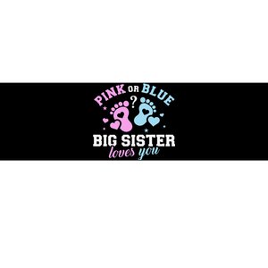 Gender reveal sister says matching family baby party Bumper Sticker