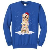 Golden Retriever Santa Christmas Tree Lights Xmas Cool Gift Sweatshirt