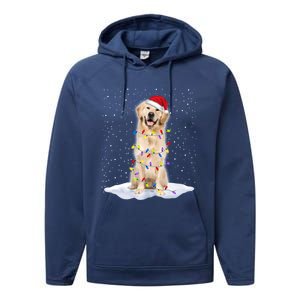 Golden Retriever Santa Christmas Tree Lights Xmas Cool Gift Performance Fleece Hoodie