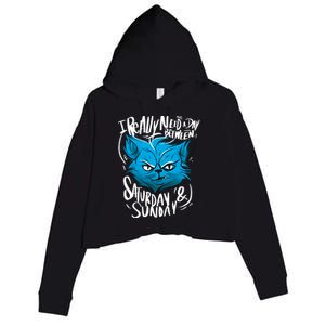 Grumpy Cat Weekend Funny Crop Fleece Hoodie