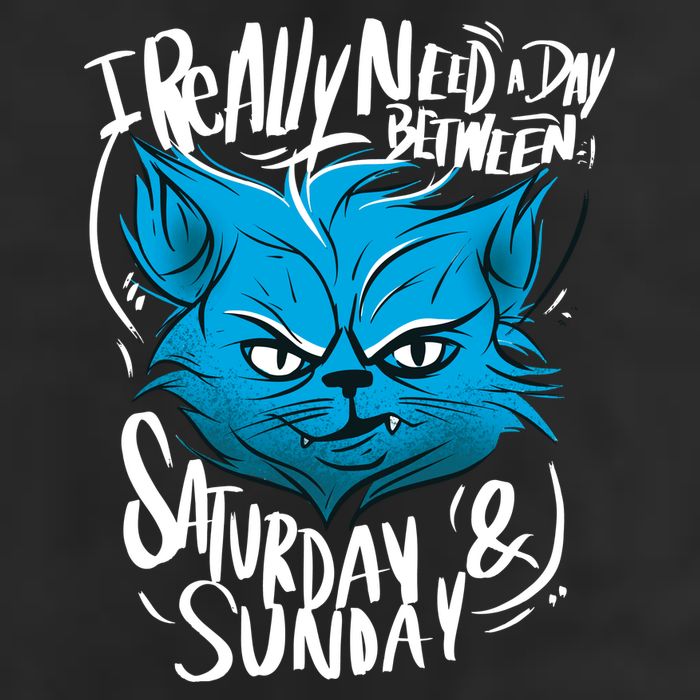 Grumpy Cat Weekend Funny Trucker Hat