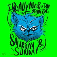 Grumpy Cat Weekend Funny T-Shirt