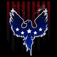 Grunge American Eagle USA Flag Tall T-Shirt