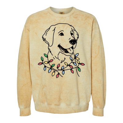 Golden Retriever With Christmas Lights Colorblast Crewneck Sweatshirt