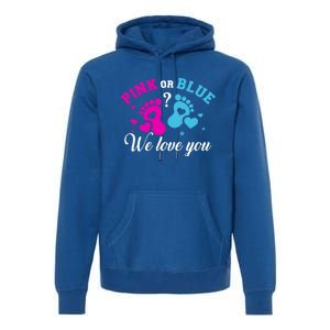 Gender Reveal We Love You Meaningful Gift Premium Hoodie