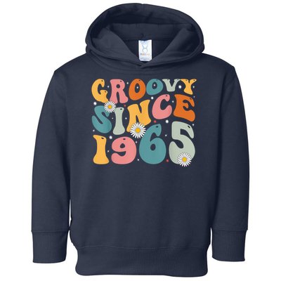 Groovy Since 1965 60th Birthday Retro Born In 1965 Toddler Hoodie