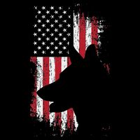 German Shepherd American Flag Usa Patriotic Dog Gift Kids Hoodie
